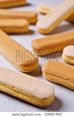 Homemade traditional italian cookie savoiardi. Selective focus