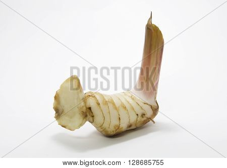 fresh galangal on a white background natural