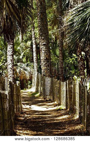 A beautiful beach path on Hunting Isand