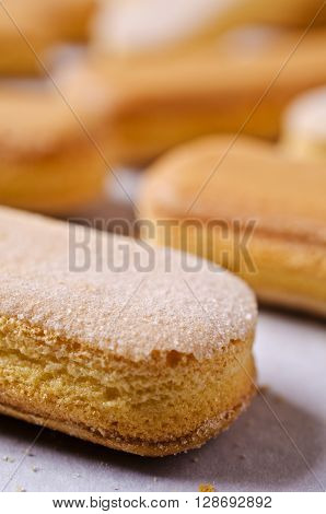 Homemade traditional italian cookie savoiardi. Selective focus