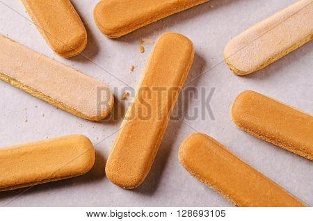 Homemade traditional italian cookie savoiardi. Selective focus