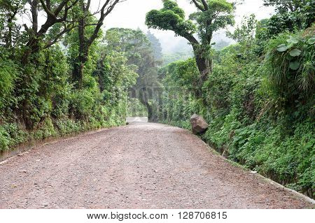 Path through rich highlands vegetation along the caffeinated community in Apaneca Ruta de Las Flores itinerary El Salvador