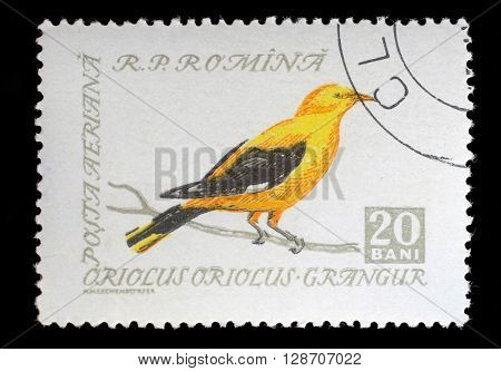 ZAGREB, CROATIA - JULY 18: stamp printed by Romania, shows Golden Oriole (Oriolus oriolus),  circa 1962, on July 18, 2012, Zagreb, Croatia