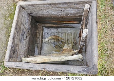 Permafrost Icebox with Whale Bones in Barrow Alaska