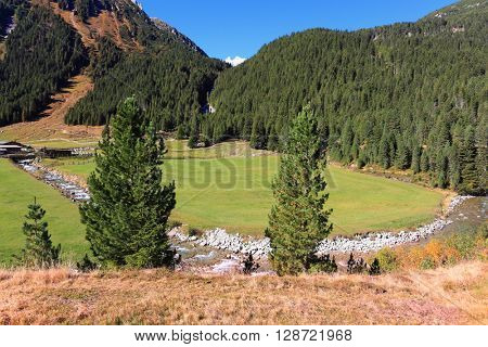 Some fast transparent streamlets connect to the rough river. Hillsides of the Alpine valley are covered with a dense coniferous forest