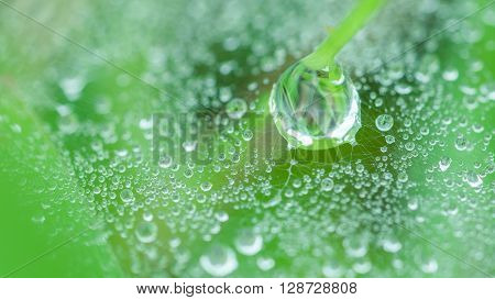Many tiny dewdrops glowing on white threads of spider web like crystal planets shining in universe.