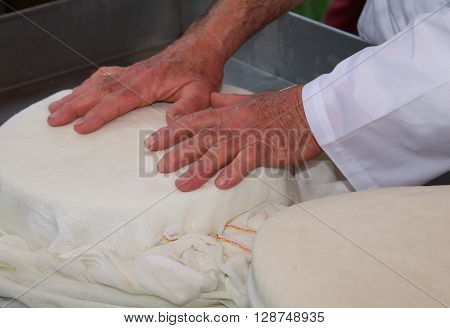 Hands Of An Old And Expert Cheesemaker Over The Freshly Cheese In The Dairy