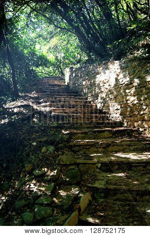 Stone steps in a shady grove of laurel in the Savina Monastery, Montenegro