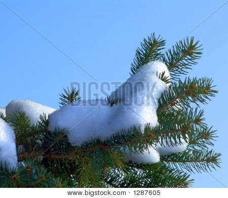 Снег филиал