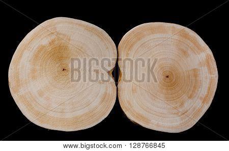 Two dried saw cut alder 200 mm diameter on a black background