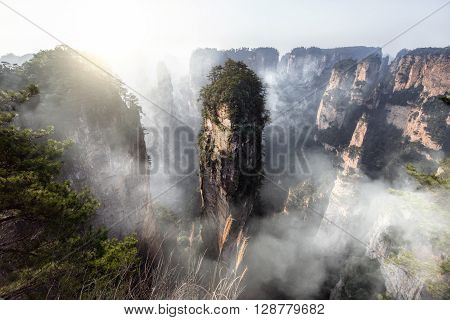 Zhang jia jie National Forest Park, Hunan, China