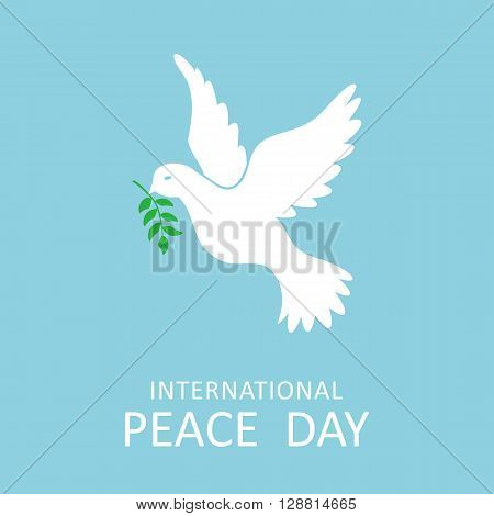 Peace dove with olive branch for International Peace Day poster. Vector illustration