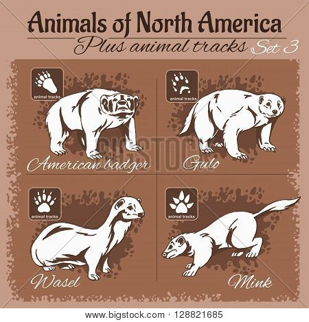 North America animals and animal tracks, footprints. Vector set.