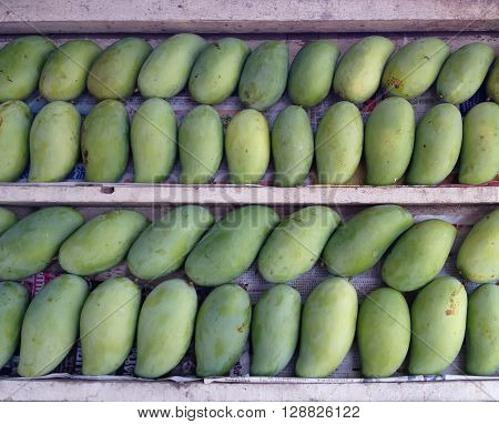• Stacks of sweet aroma ripe green mangoes fruit on wooden stack