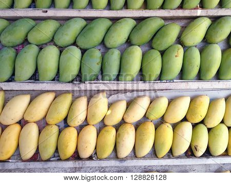 • Stacks of sweet aroma ripe yellow and green mangoes fruit on wooden stack