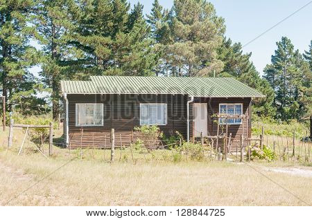 MILLWOOD SOUTH AFRICA - MARCH 4 2016: A former woodcutter house in the Protea Valley Forest Village in the Millwood section of the Garden Route National Park