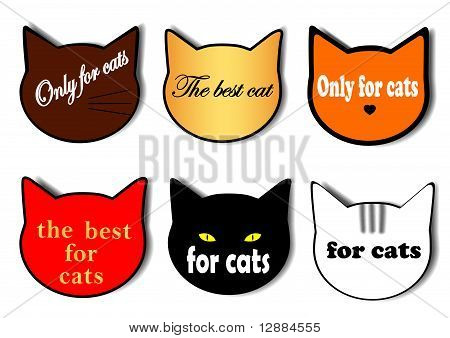 Katte