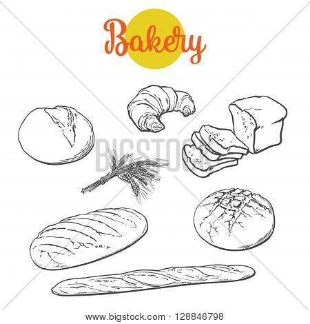 Set bread products, pastries on a white background, sliced loaf, French baguette, rye bread, wheat branch, cutting cakes, croissants, colored sketch style hand-drawn, bakery products, rooty