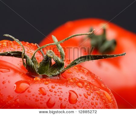 tomato
