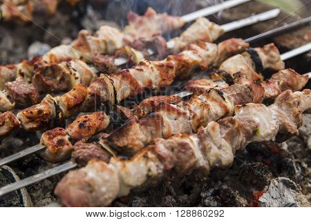 Skewers on the grill at nature. Image close-up