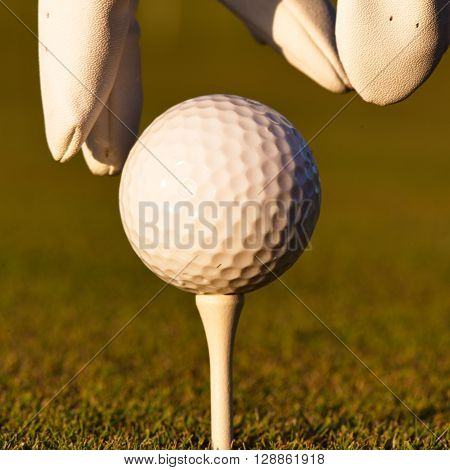 green field and white golf ball sport sanset