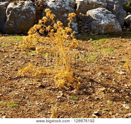 From The Hill In Asia Turkey Selge Old Architecture Ruins And Nature