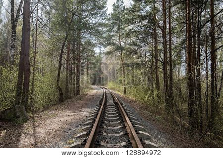 old rail road in green forest summer.