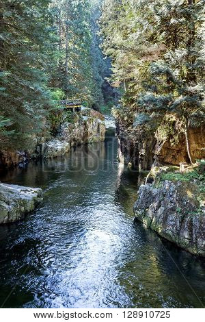 Capilano Regional Park and Capilano River Canyon