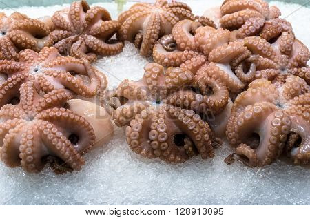 Raw fresh pink octopus on ice. Seafood restaurant cafe display. Selective focus