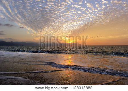 Sunset birds flying is birds in a flight of freedom and inspiration towards a vibrant bright sun against an beautiful orange sunset sky.