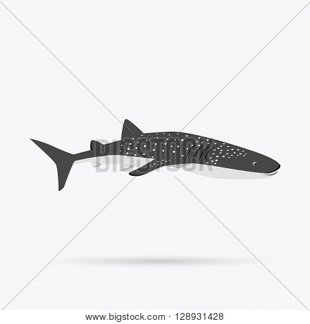 Marine predator shark design flat. Dangerous predator shark with fins and tail and sharp teeth. Aggressive fish tiger shark in black color living in the ocean or the sea. Vector illustration