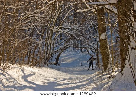 Skieur dans la Forêt2 hiver