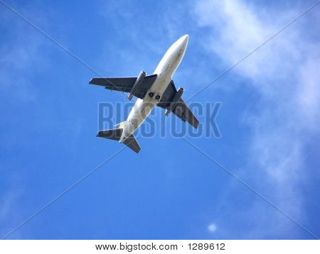 Fly