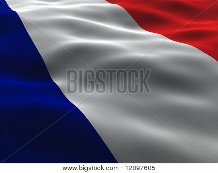 Bandiera Francia setosa