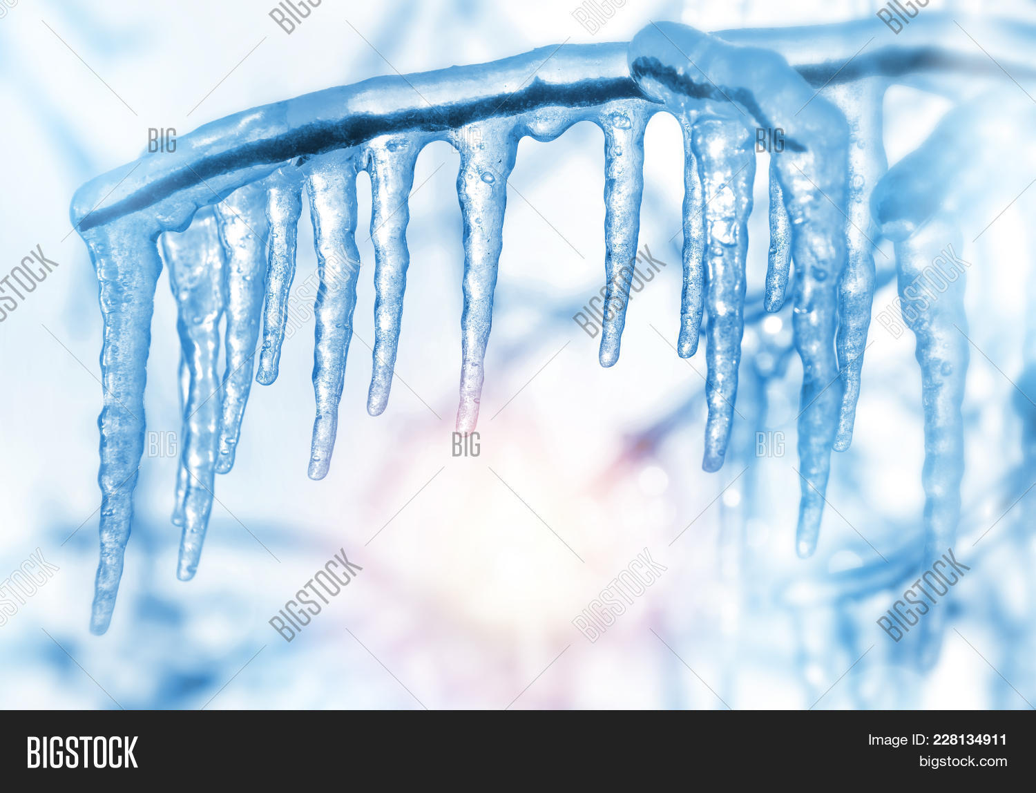 transparent tree branch with icicles powerpoint template