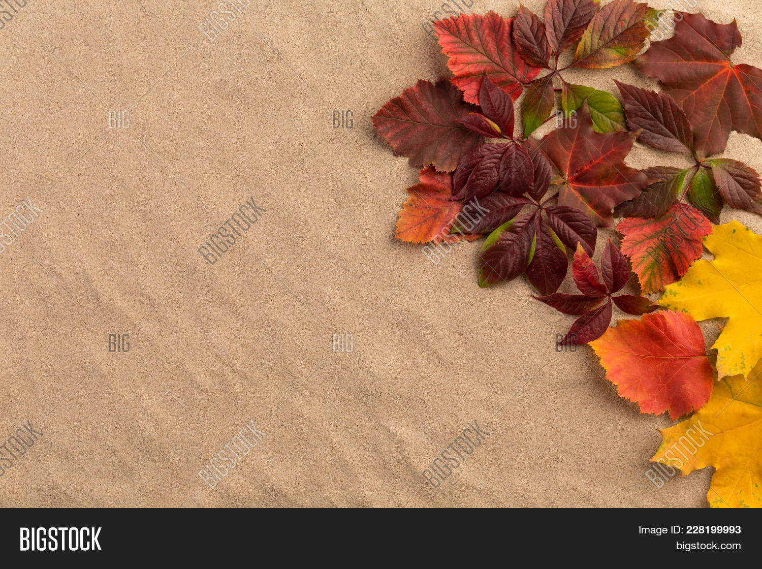 sand with autumn powerpoint theme powerpoint template sand with autumn powerpoint background