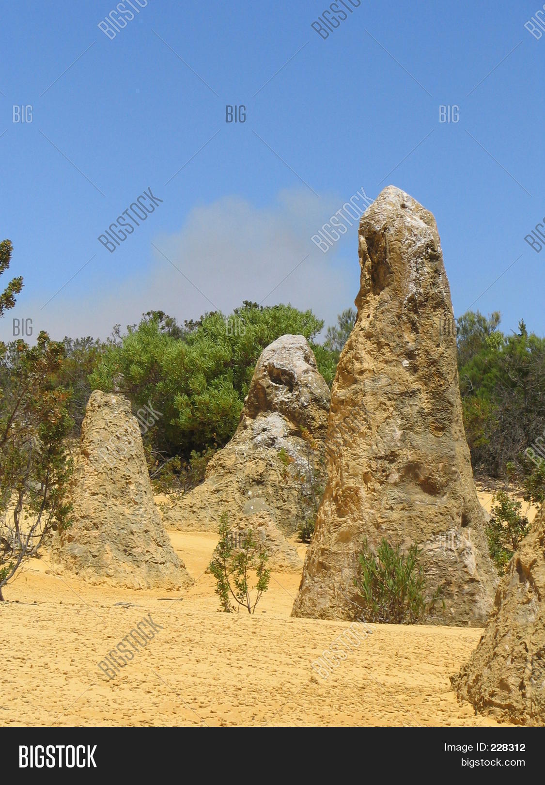 Image Preview