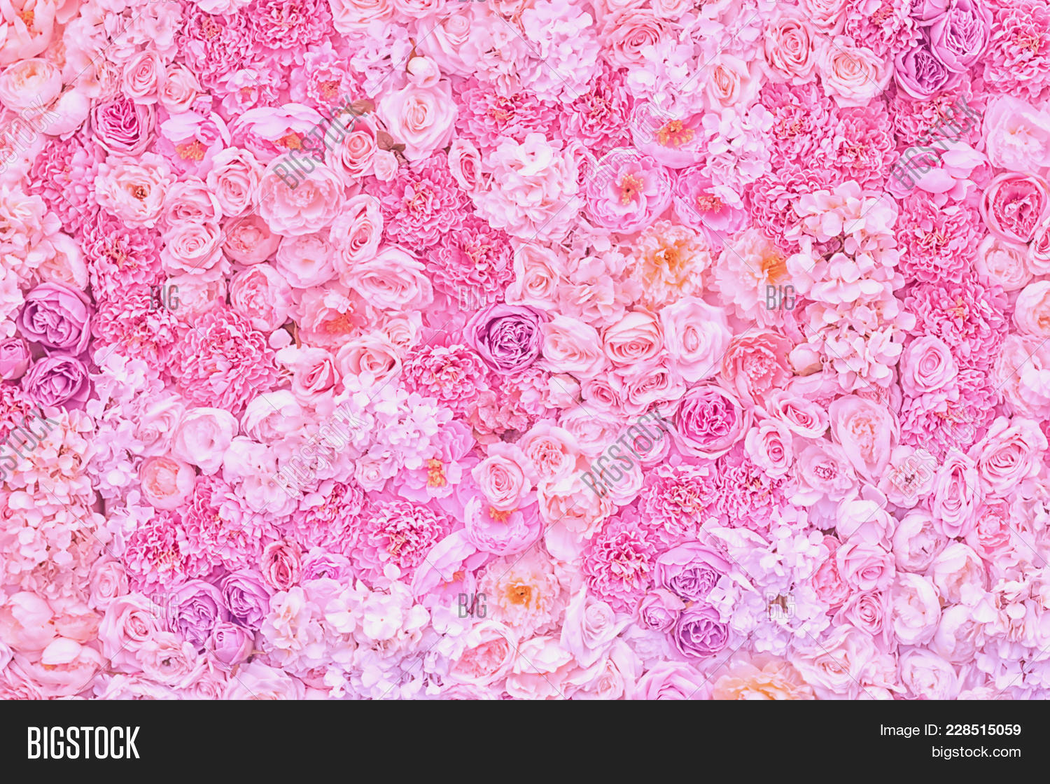 flowers pink pastel powerpoint template flowers pink pastel