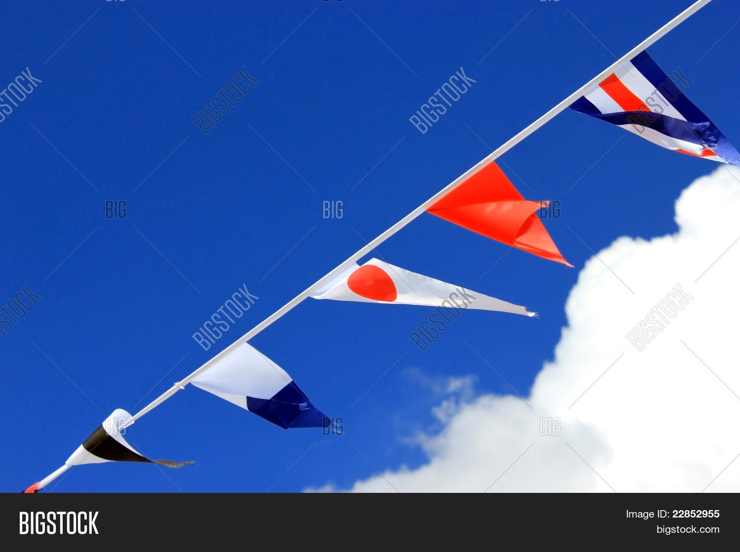 Image Preview