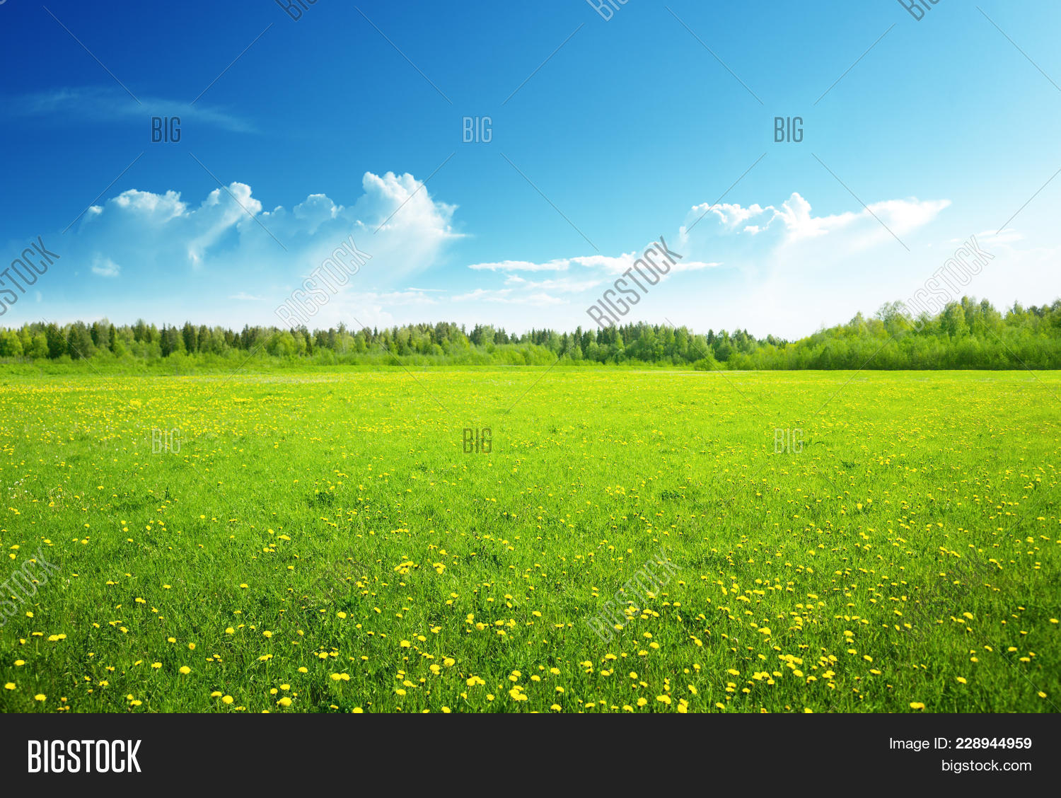 spring powerpoint background