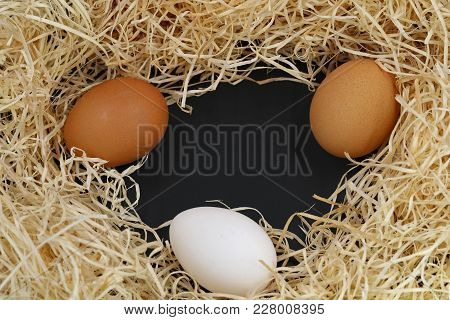 Three Eggs With Wood Wool And Copy Space Isolated On Black Background