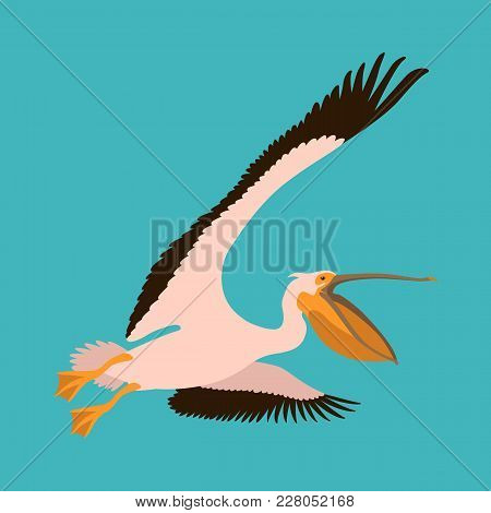 Roseate Pelican Vector Illustration Flat Style Profile Side