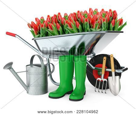 Wheelbarrow With Flowers, Boots, Watering Can, Shovel And Hoe, Isolated On White Background 3d Rende