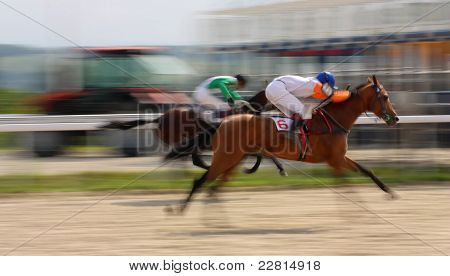 Wyścigi konne.