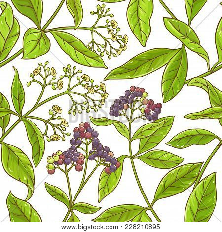 Allspice  Branch Vector Pattern On White Background