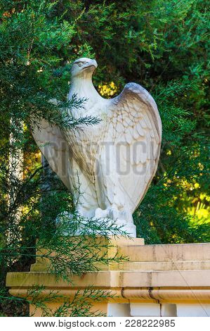 Gypseous Sculpture Of Eagle Closeup Among Branches Of Colletia Bush In Arboretum, Sochi, Russia