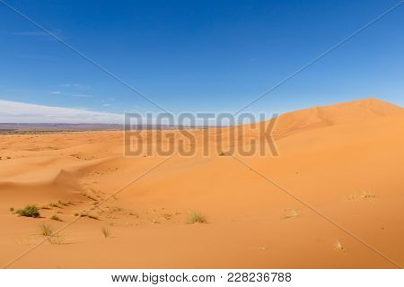 Sand Dunes Of Erg Chebbi In He Sahara Desert, Morocco