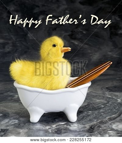 Happy Fathers Day With Surfing Baby Ducky.