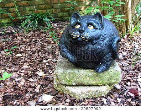 Schwarze Katze