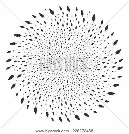 Feather Swirl Spin. Object Curl Organized From Random Feather Symbols. Vector Illustration Style Is 